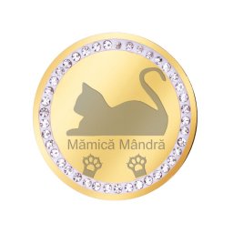 Martisor Brosa Inox Banut Pietre Mamica Pisica Auriu