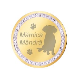 Martisor Brosa Inox Banut Pietre Mamica Catel Auriu