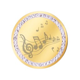 Martisor Brosa Inox Banut Pietre Muzica Auriu