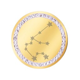 Martisor Brosa Inox Banut Pietre Constelatie Varsator Auriu