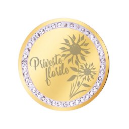 Martisor Brosa Inox Banut Pietre Priveste Florile Auriu