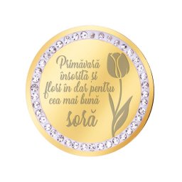 Martisor Brosa Inox Banut Pietre Mesaj Sora Auriu