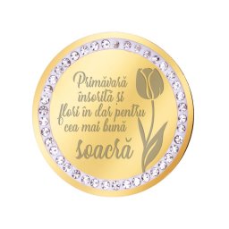 Martisor Brosa Inox Banut Pietre Mesaj Soacra Auriu