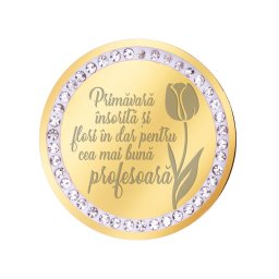 Martisor Brosa Inox Banut Pietre Mesaj Profesoara Auriu