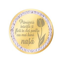 Martisor Brosa Inox Banut Pietre Mesaj Nasa Auriu