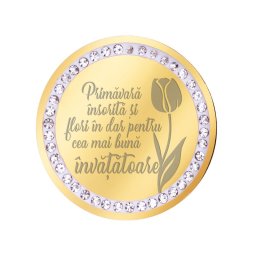 Martisor Brosa Inox Banut Pietre Mesaj Invatatoare Auriu