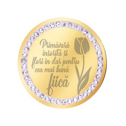 Martisor Brosa Inox Banut Pietre Mesaj Fiica Auriu