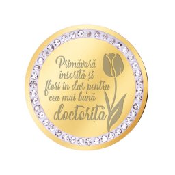 Martisor Brosa Inox Banut Pietre Mesaj Doctorita Auriu