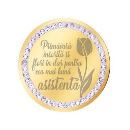 Martisor Brosa Inox Banut Pietre Mesaj Asistenta Auriu