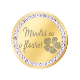 Martisor Brosa Inox Banut Pietre Mandra Floare Auriu