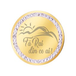 Martisor Brosa Inox Banut Pietre Fa Rai din ce ai Auriu