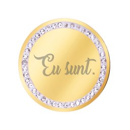 Martisor Brosa Inox Banut Pietre Eu Sunt Auriu
