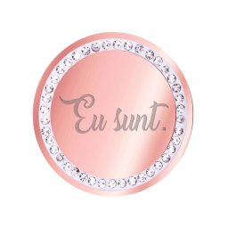 Martisor Brosa Inox Banut Pietre Eu Sunt Rose Gold