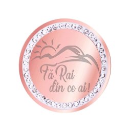 Martisor Brosa Inox Banut Pietre Fa Rai din ce ai Rose Gold