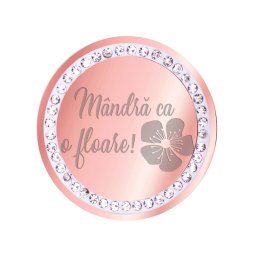 Martisor Brosa Inox Banut Pietre Mandra Floare Rose Gold