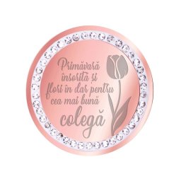 Martisor Brosa Inox Banut Pietre Mesaj Colega Rose Gold