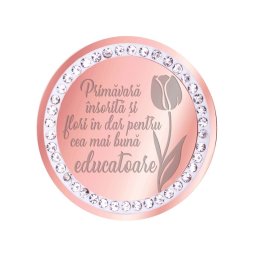Martisor Brosa Inox Banut Pietre Mesaj Educatoare Rose Gold