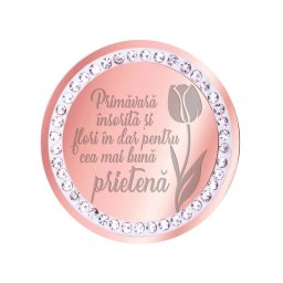 Martisor Brosa Inox Banut Pietre Mesaj Prietena Rose Gold