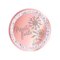 Martisor Brosa Inox Banut Pietre Priveste Florile Rose Gold