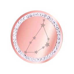 Martisor Brosa Inox Banut Pietre Constelatie Capricorn Rose Gold