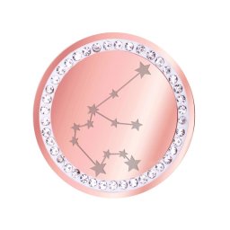 Martisor Brosa Inox Banut Pietre Constelatie Varsator Rose Gold
