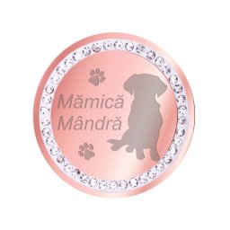 Martisor Brosa Inox Banut Pietre Mamica Catel Rose Gold