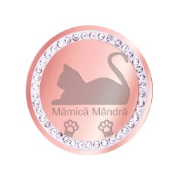 Martisor Brosa Inox Banut Pietre Mamica Pisica Rose Gold