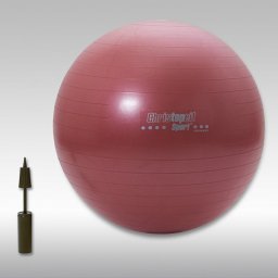 Minge gimnastica 65cm inclusiv pompa