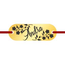 Martisor Bratara Inox Placuta Aurie Nume Andra