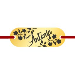 Martisor Bratara Inox Placuta Aurie Nume Antonia