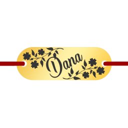 Martisor Bratara Inox Placuta Aurie Nume Dana