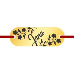 Martisor Bratara Inox Placuta Aurie Nume Jana