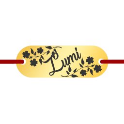 Martisor Bratara Inox Placuta Aurie Nume Lumi