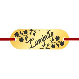 Martisor Bratara Inox Placuta Aurie Nume Luminita