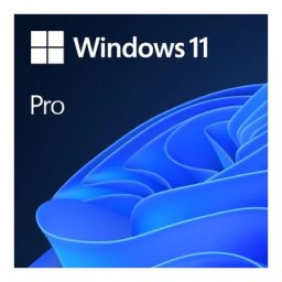 Licență Microsoft Windows 11 Pro, Engleza, OEM, DVD