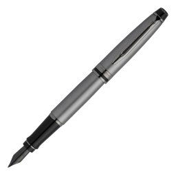 Stilou Waterman Expert SE Metalic Silver Laquer TT