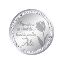Martisor Brosa Inox Banut Pietre Nume Ada Argintiu