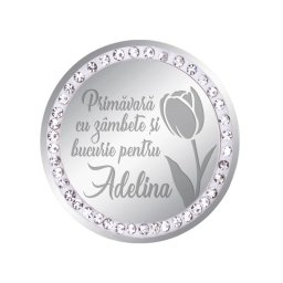 Martisor Brosa Inox Banut Pietre Nume Adelina Argintiu