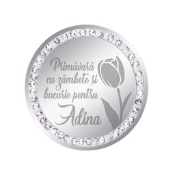 Martisor Brosa Inox Banut Pietre Nume Adina Argintiu