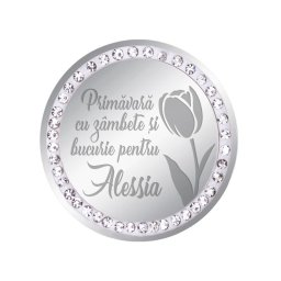 Martisor Brosa Inox Banut Pietre Nume Alessia Argintiu
