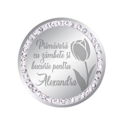 Martisor Brosa Inox Banut Pietre Nume Alexandra Argintiu