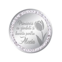 Martisor Brosa Inox Banut Pietre Nume Alexia Argintiu
