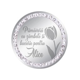 Martisor Brosa Inox Banut Pietre Nume Alice Argintiu
