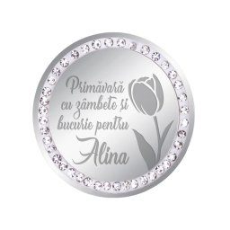 Martisor Brosa Inox Banut Pietre Nume Alina Argintiu
