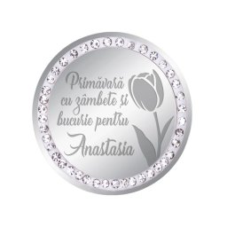 Martisor Brosa Inox Banut Pietre Nume Anastasia Argintiu