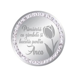 Martisor Brosa Inox Banut Pietre Nume Anca Argintiu