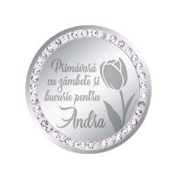 Martisor Brosa Inox Banut Pietre Nume Andra Argintiu