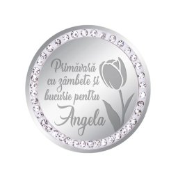 Martisor Brosa Inox Banut Pietre Nume Angela Argintiu