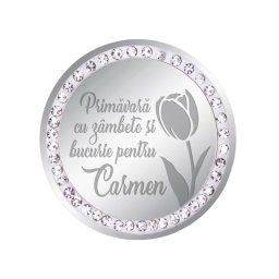 Martisor Brosa Inox Banut Pietre Nume Carmen Argintiu