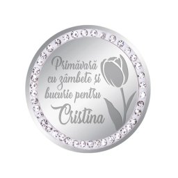 Martisor Brosa Inox Banut Pietre Nume Cristina Argintiu